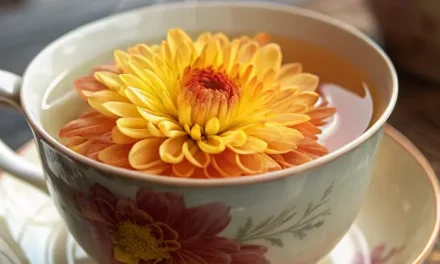Chrysanthemum Flower Tea: Gentle and Floral Wellness in a Cup